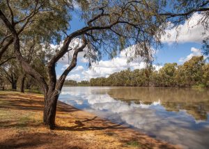 Banks of the Condamine
