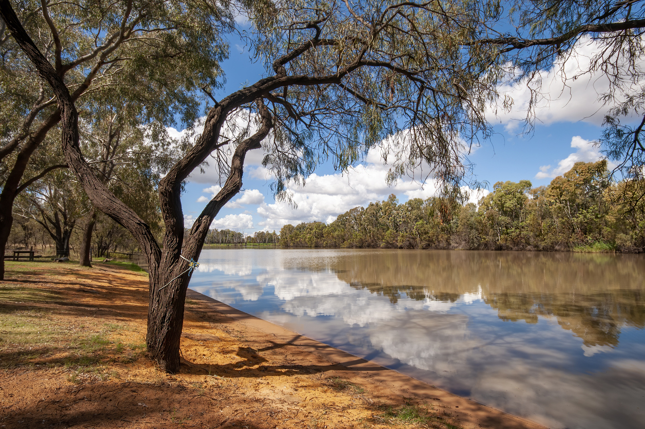 Banks of the Condamine